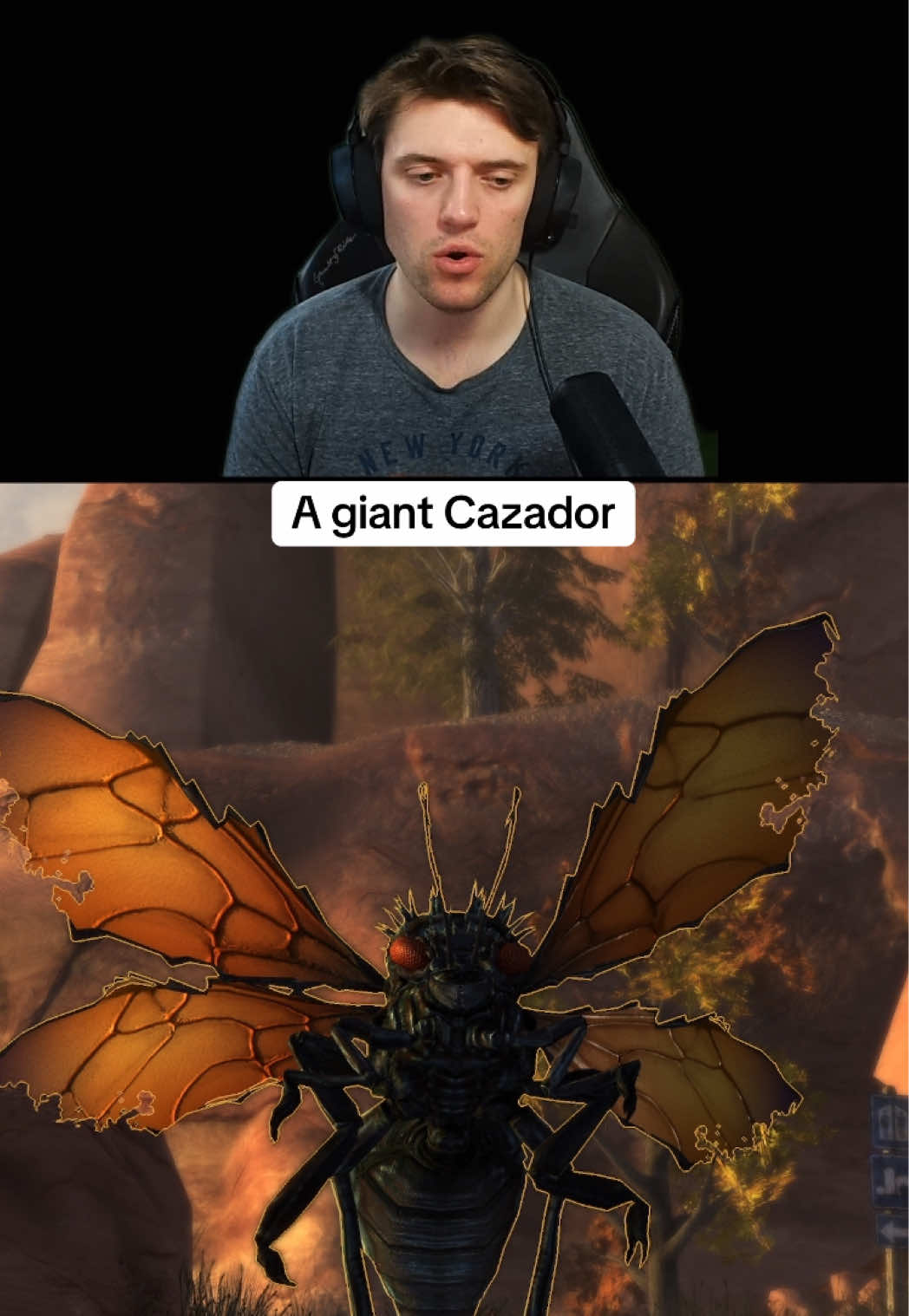 @joeemersed