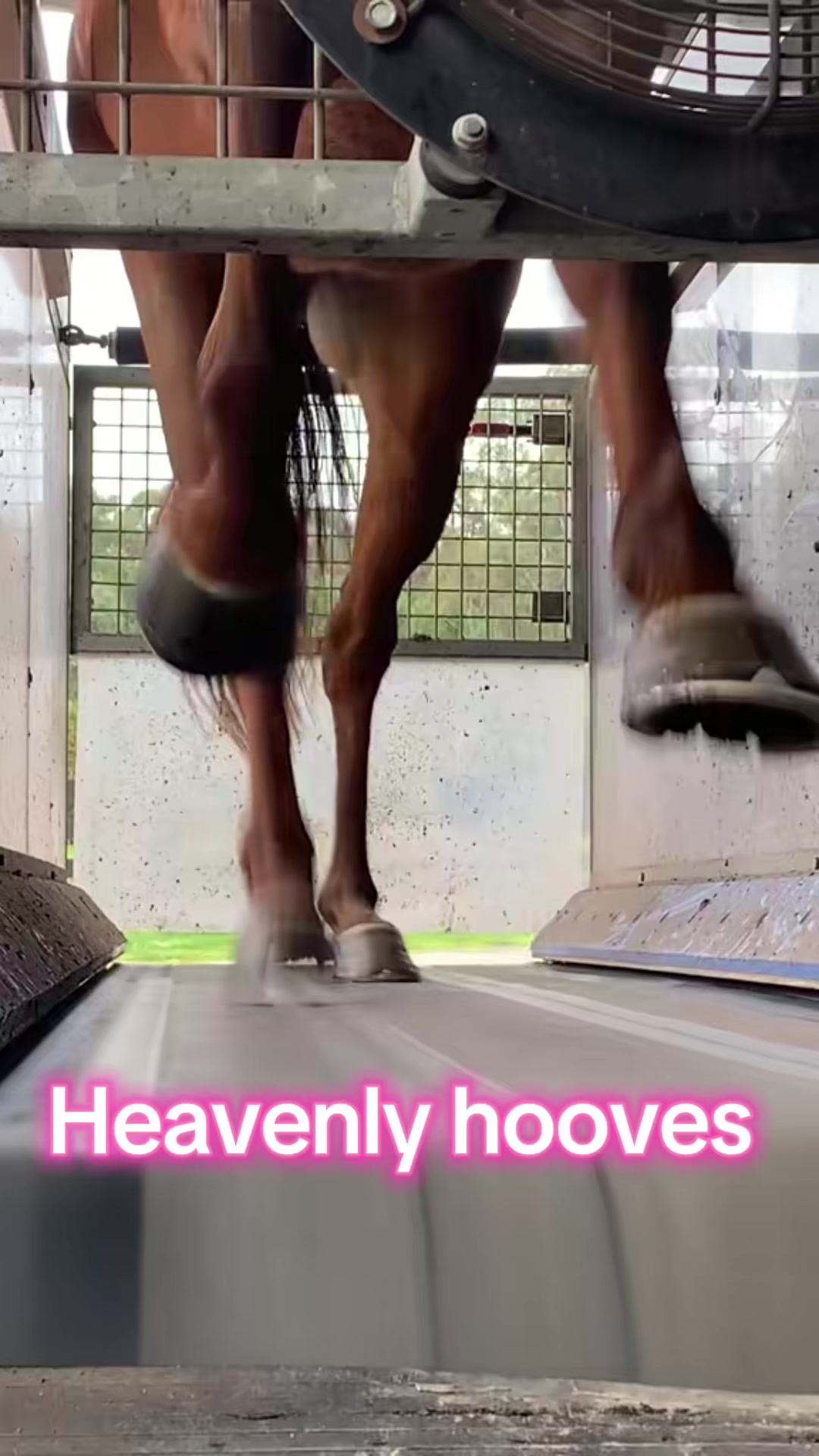@meghanktaylor0