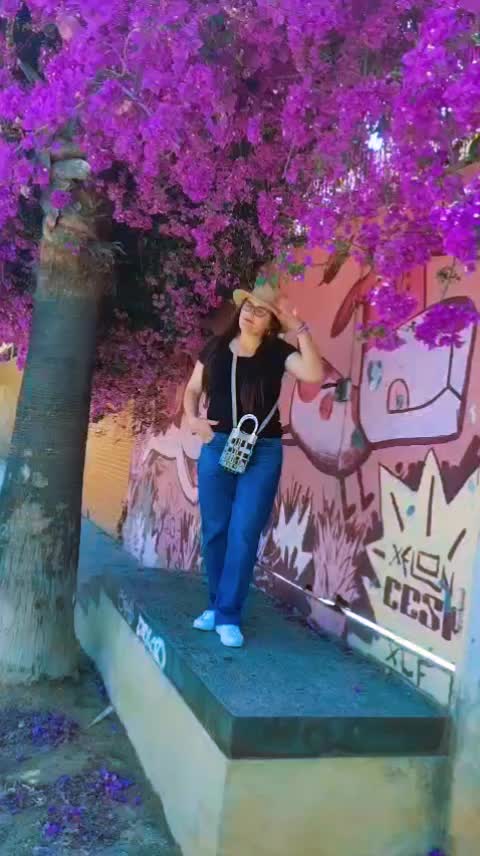 @vidabalbuena 🇳🇱🇪🇦