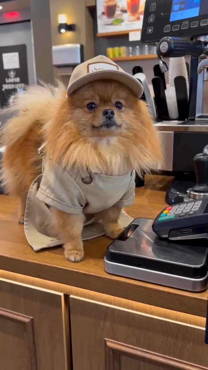 @Gangsterspitz