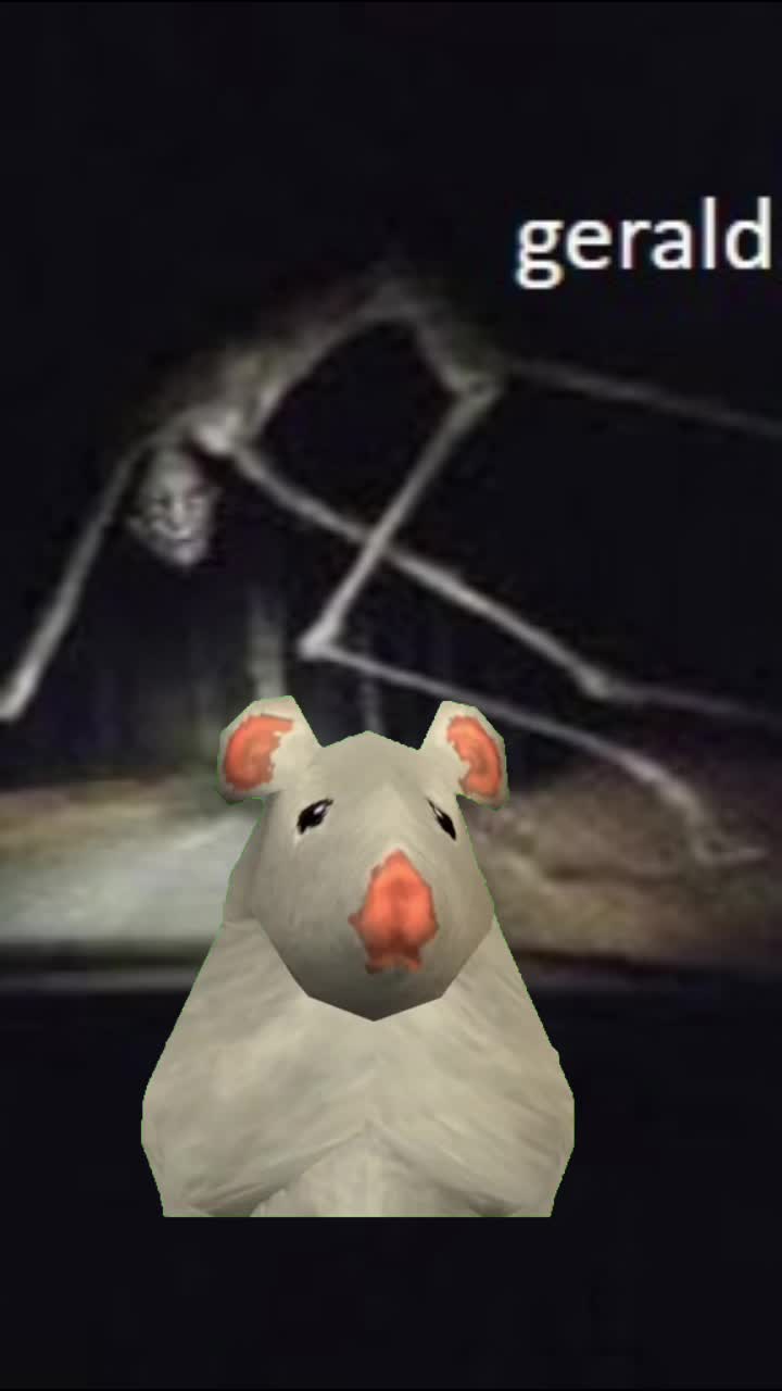 @tungtungtungcooper