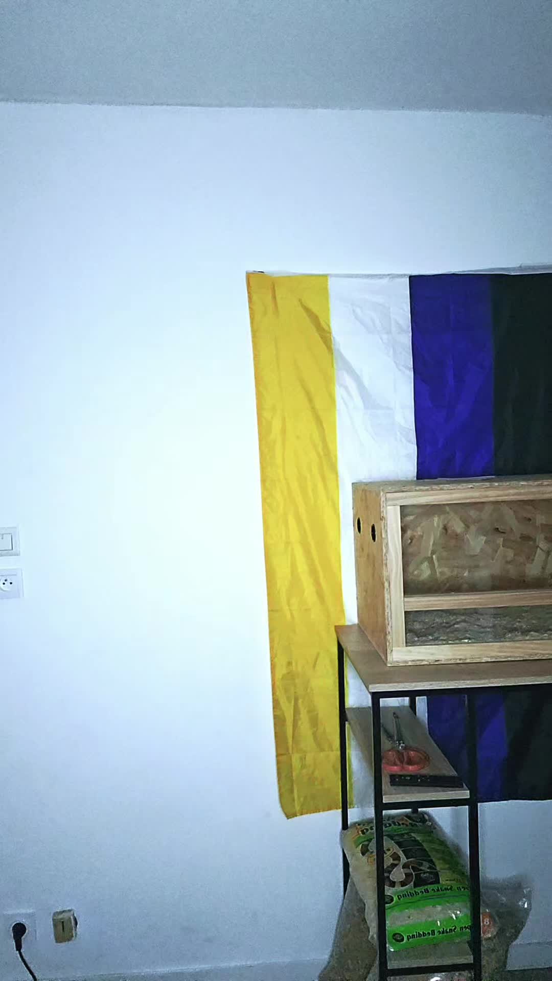 @ᴛᴀʏʟɪᴏꜱ