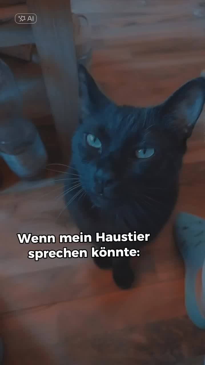 @Mrs.Drenkow_1998_baghira🐾🐈⬛