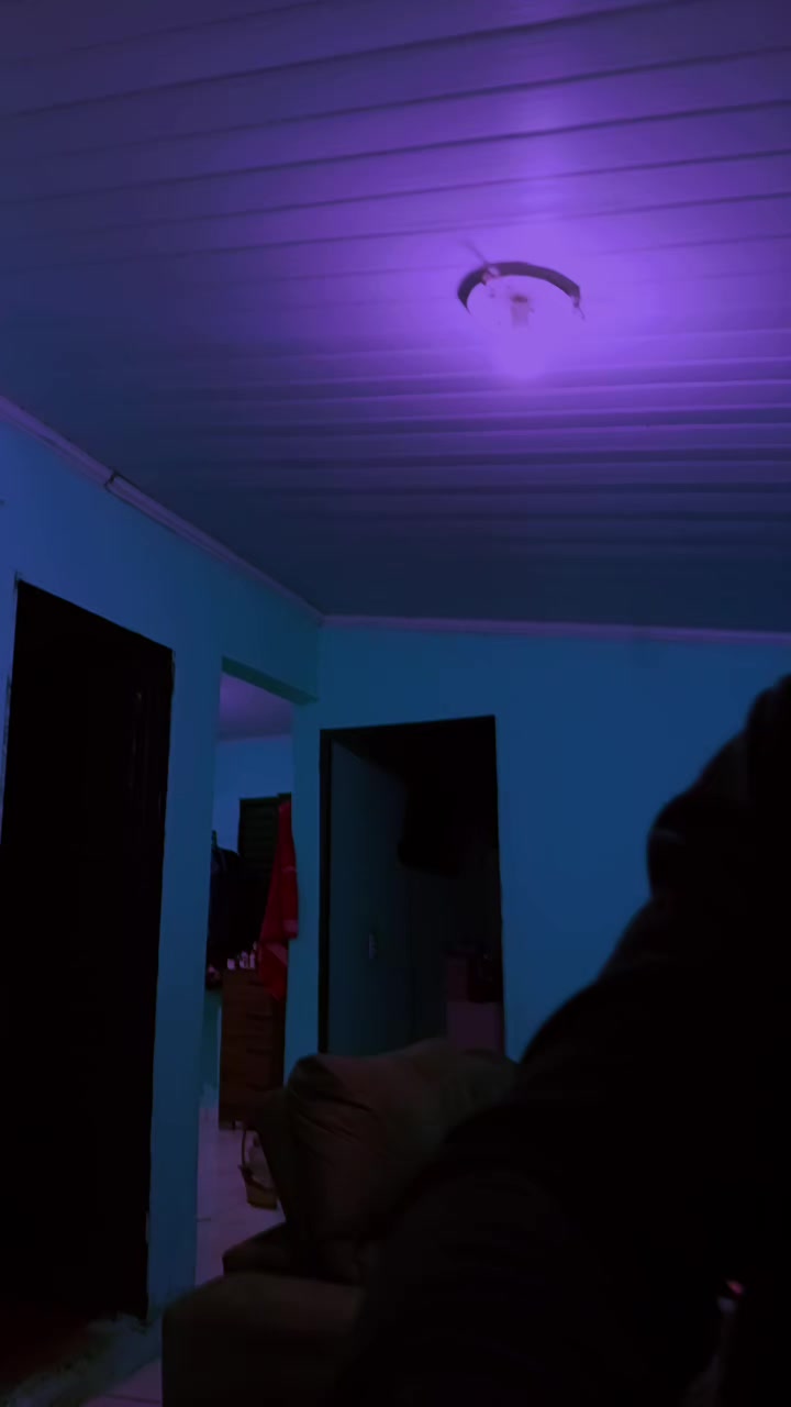 @lucineiarocha2412