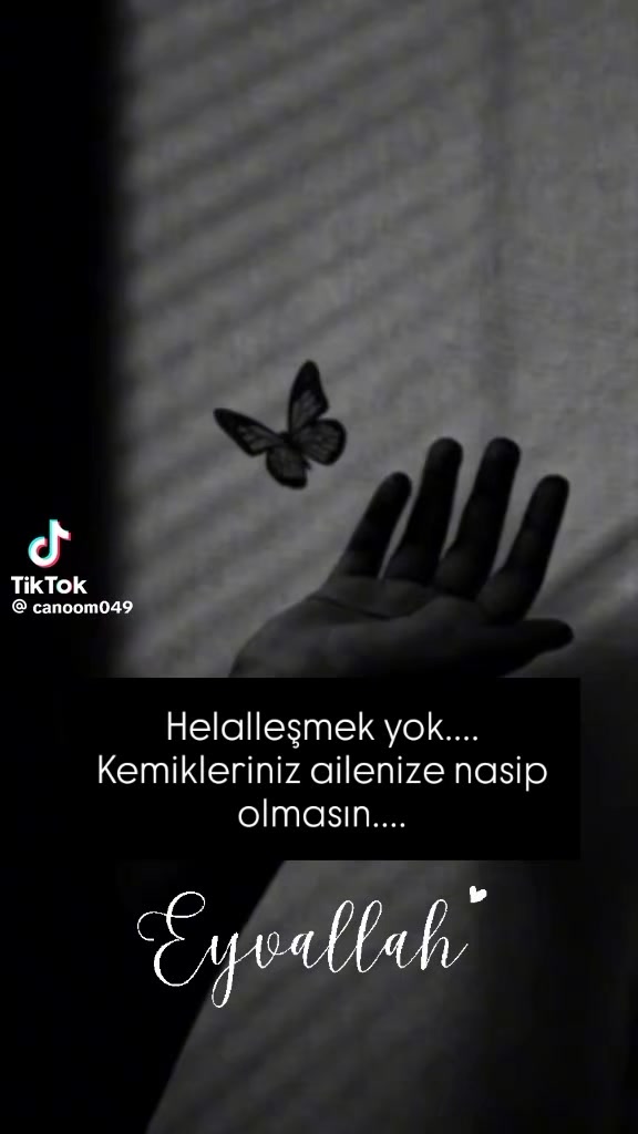 @Ayhan Sena ibrahimHatice Yavaş