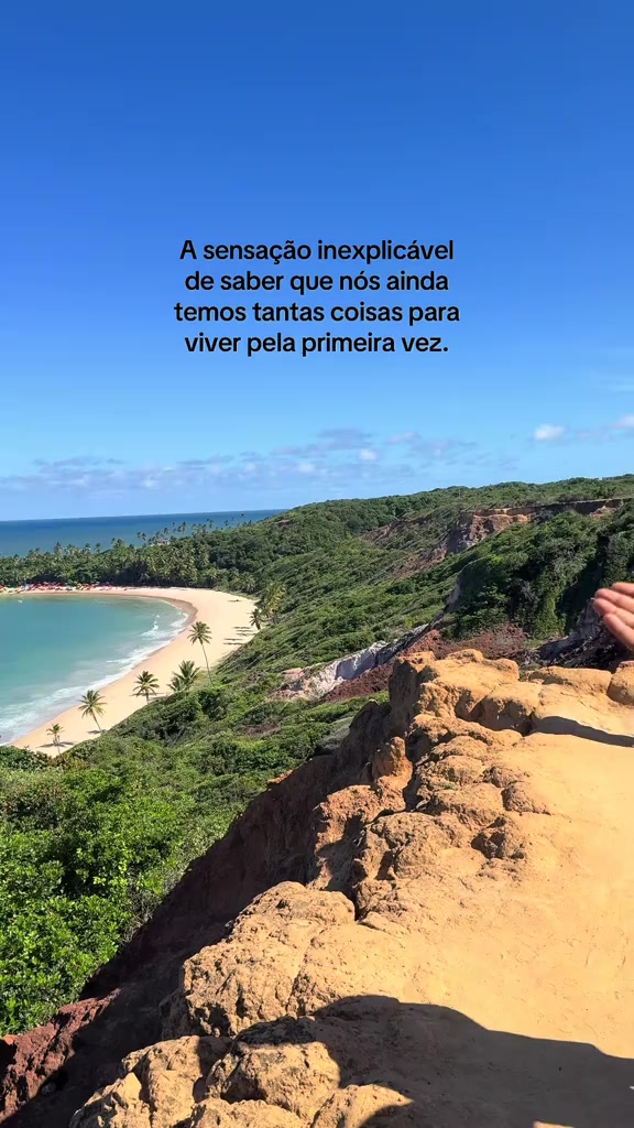 @aurorinha