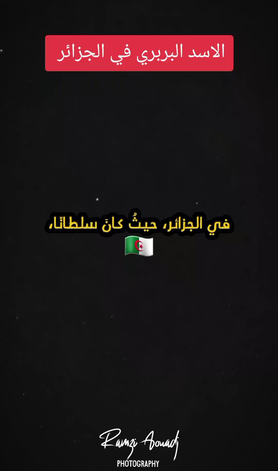 @ramziaouadj93