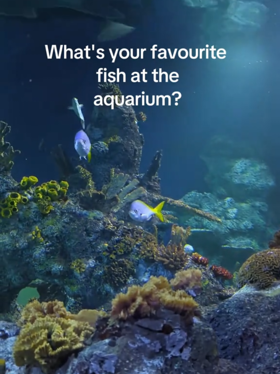@BristolAquarium