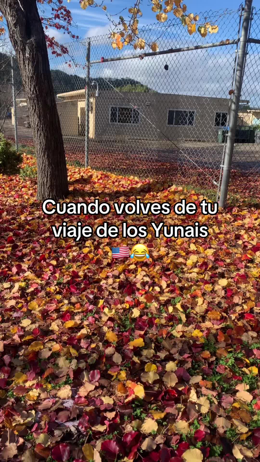 @🍎🪸
