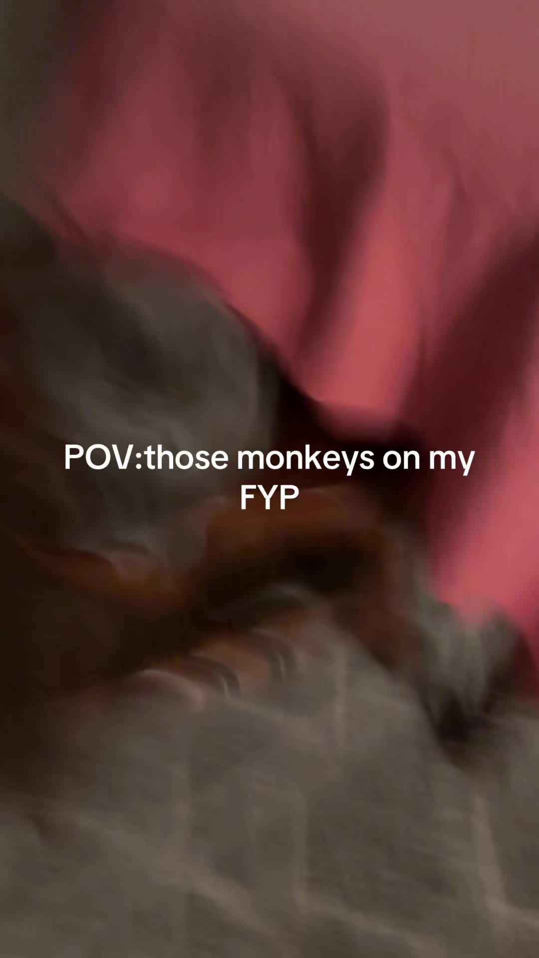@ALINA