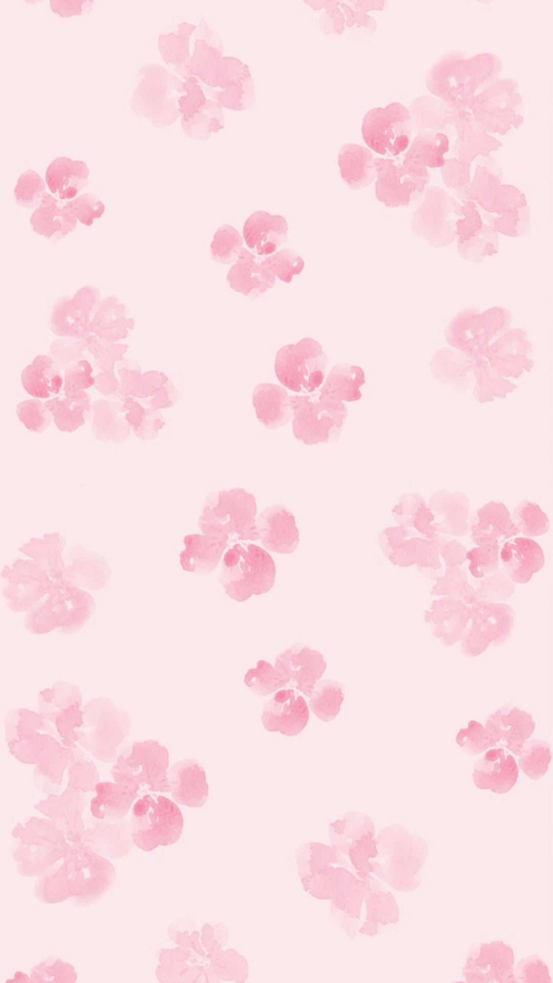 @ℳ𝒾𝓶𝓲ꫂ᭪݁