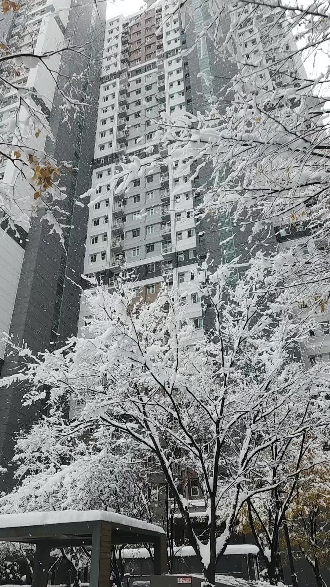 @봄