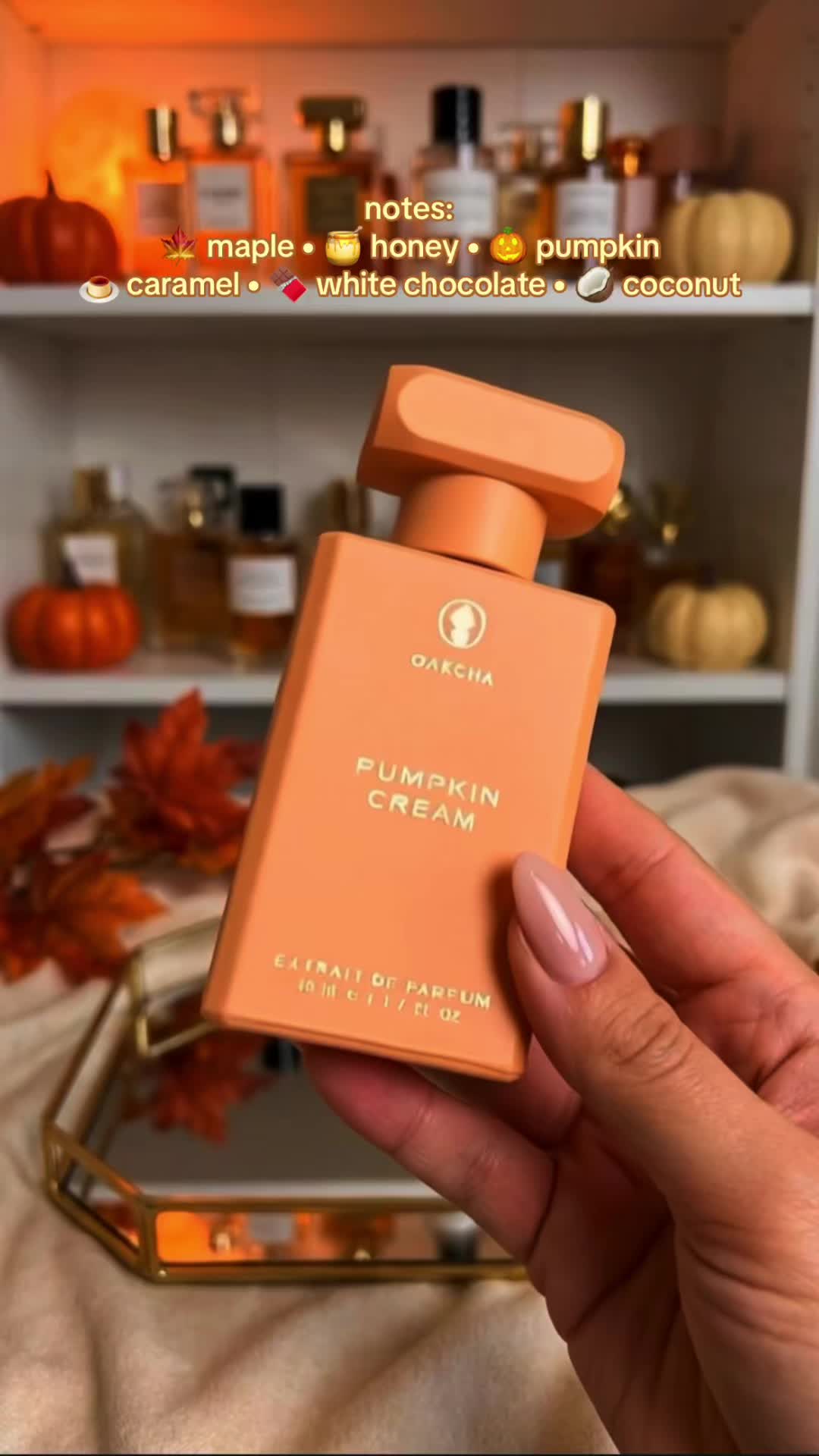 @dealzhunterrr
