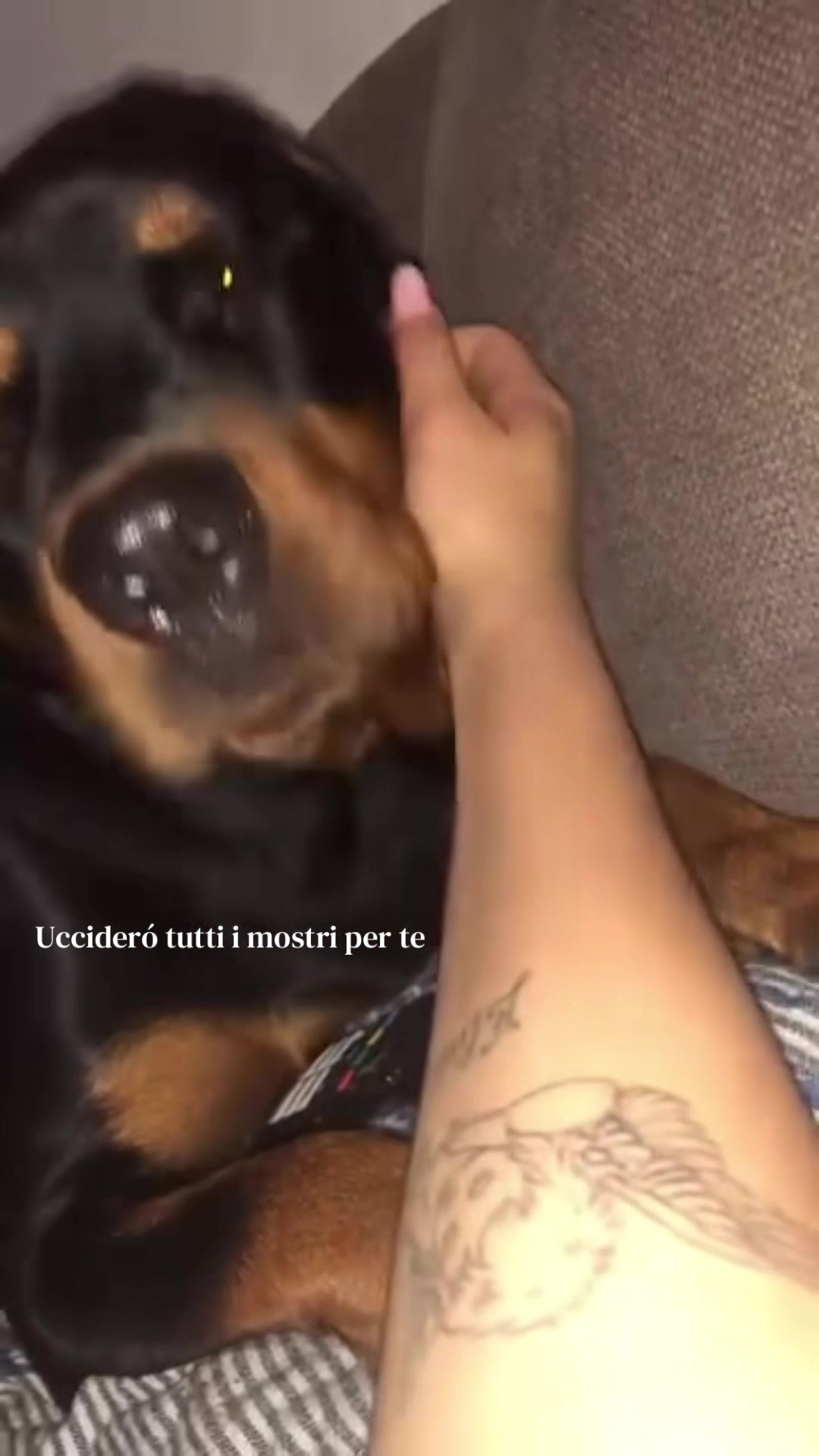 @lucia.lombini