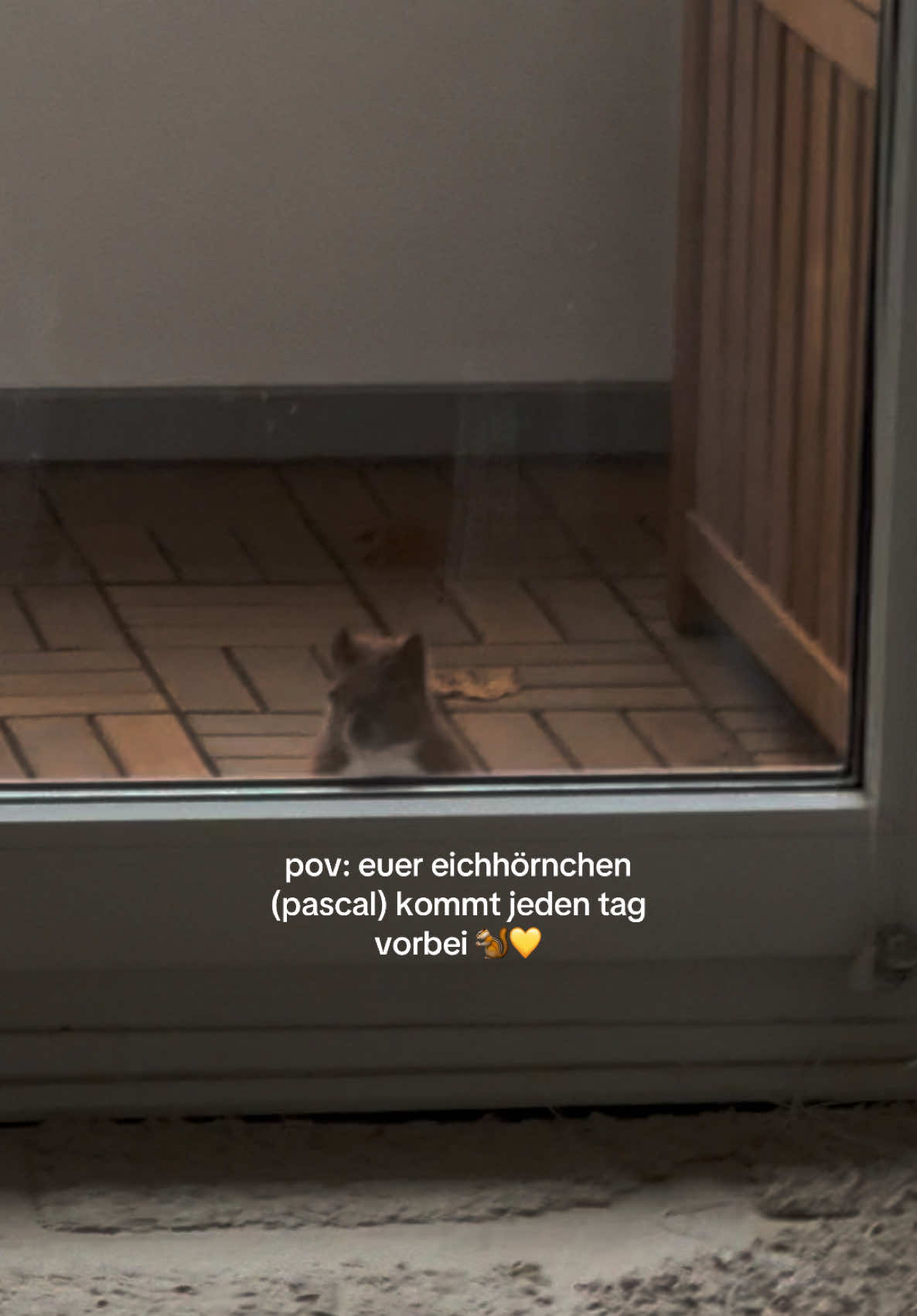 @emmii 🪩