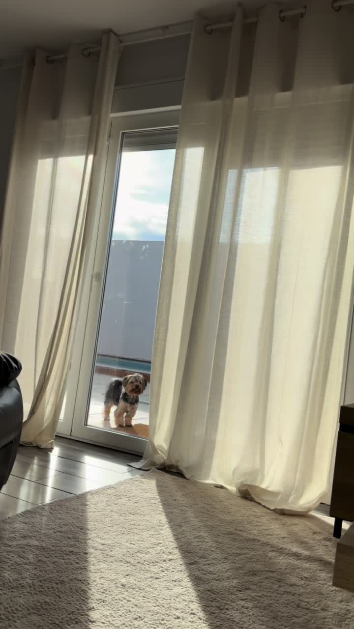 @Luis Vicente Iba&ntilde;ez 