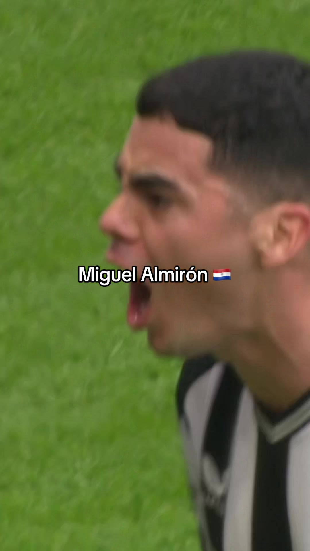 @Newcastle United
