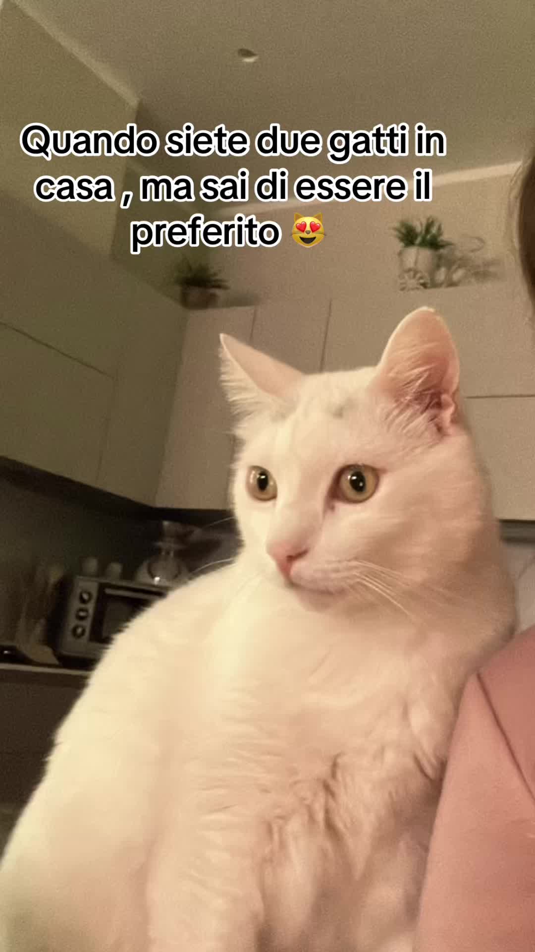 @Alessia&Donato