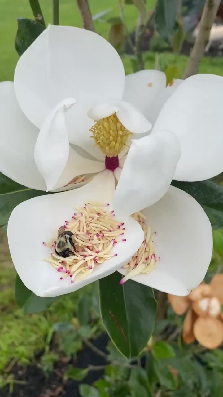 @ᛉᚲᚱᚢᛈᛏᚲᛊᛞᛣ