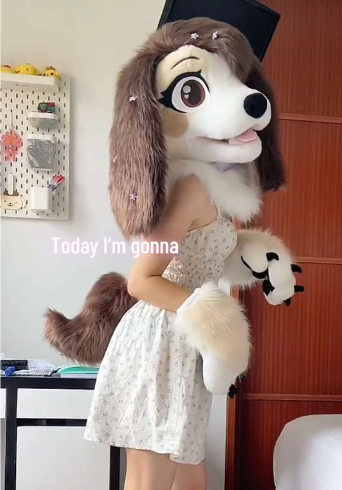 @June ⊹₊⋆