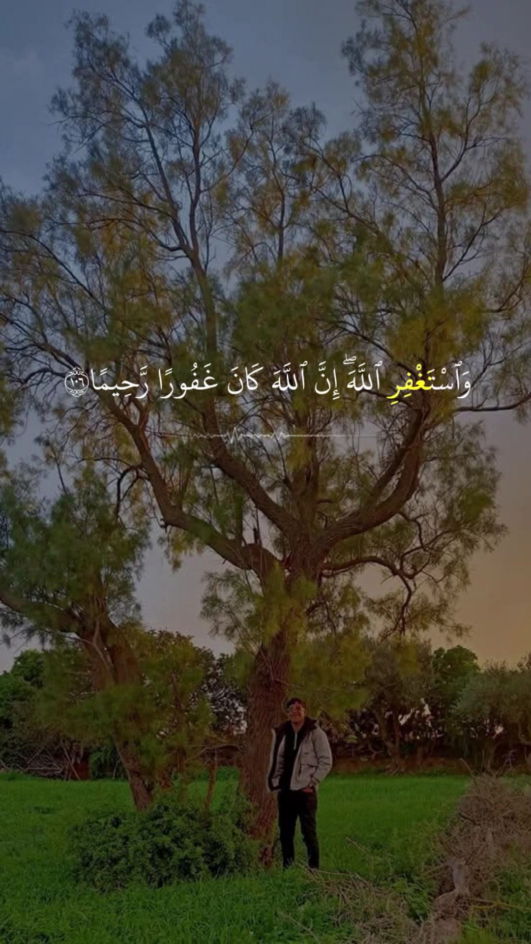 @Firas mathlouthi