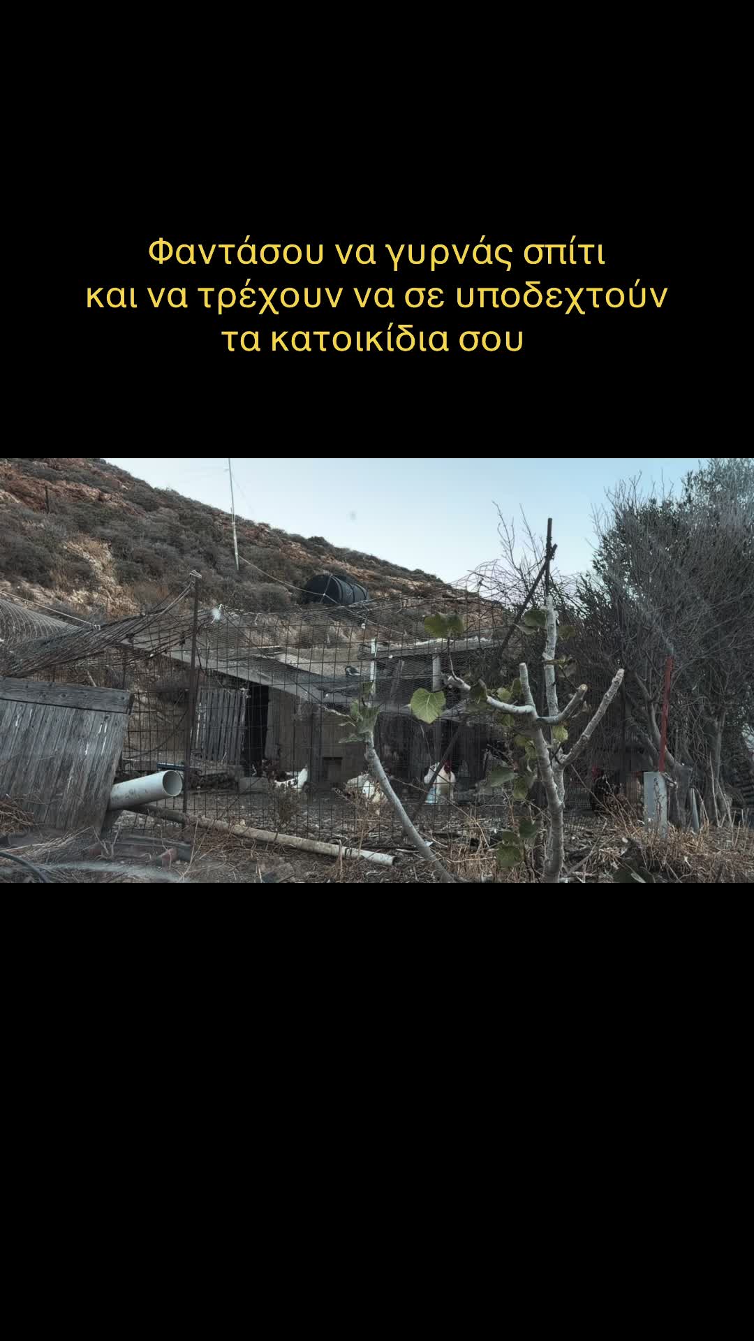 @ifijen&aacute;ia