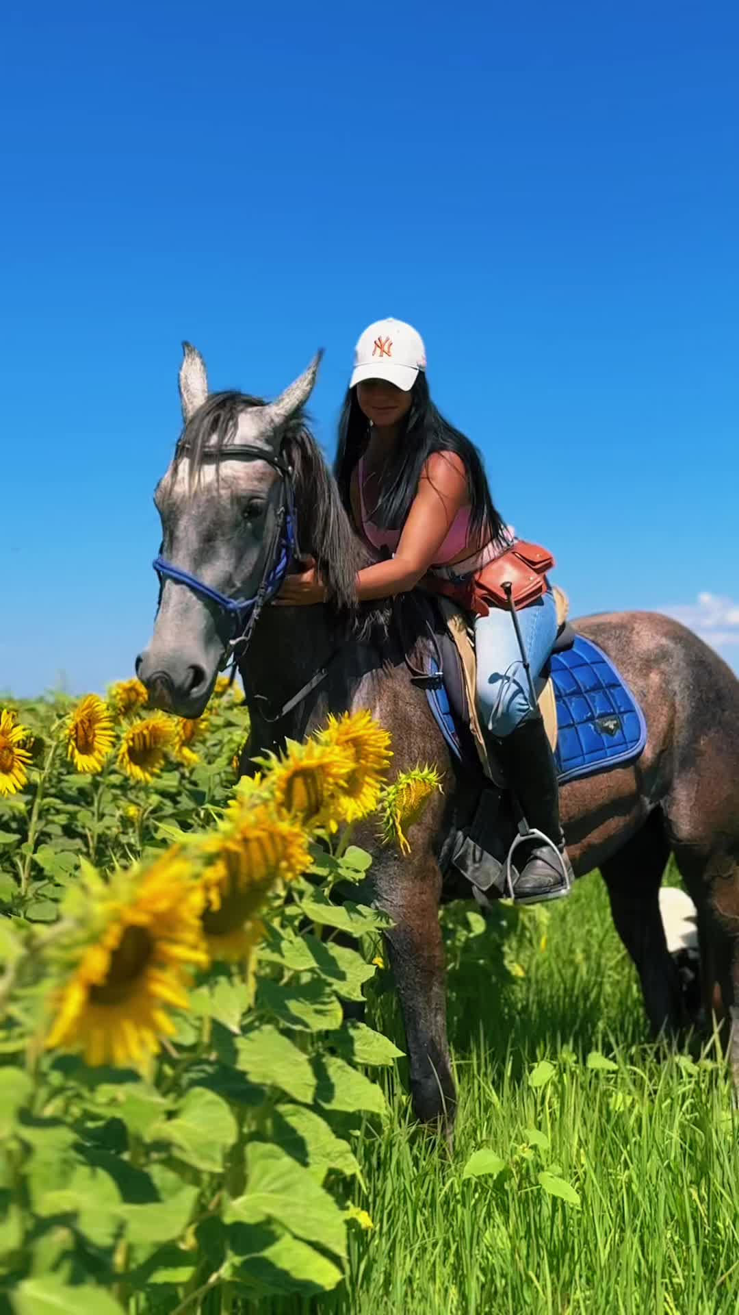 @Alexandra de la Hidalgo 🤠