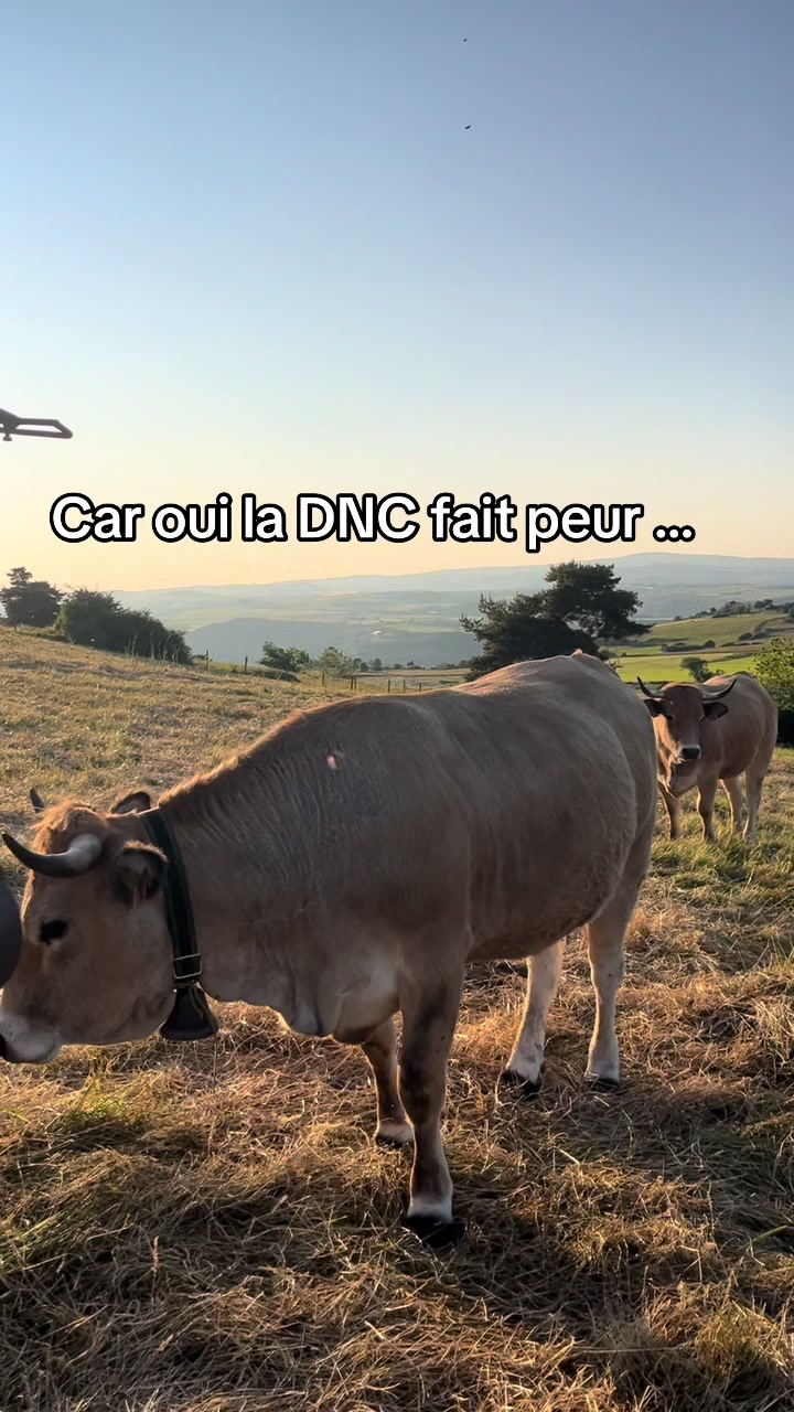 @🌾j'aime pas les veganes 🌾