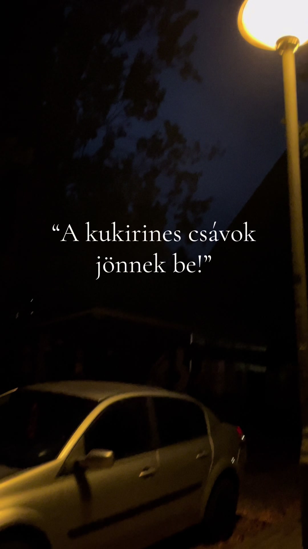 @Szabó Dávid