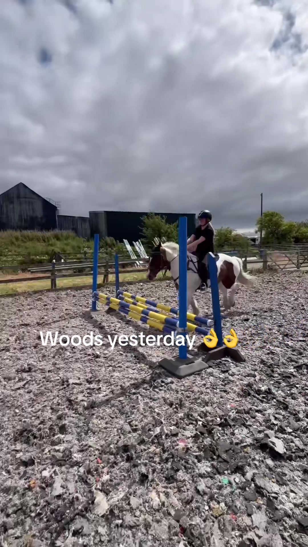@Lilywiththecobs🐴