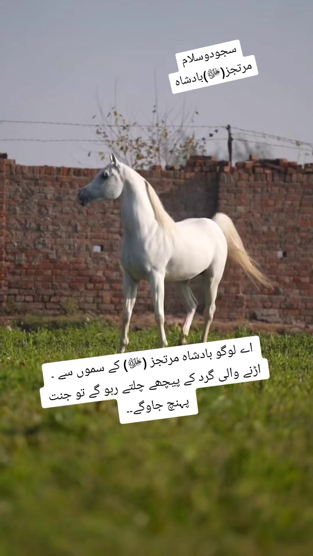 @حق پرست(مرتجز بادشاہ)