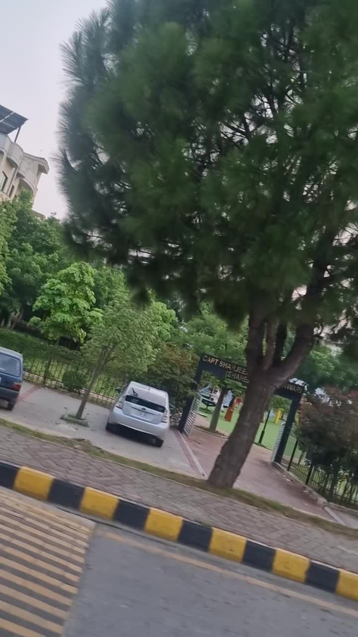 @hayya