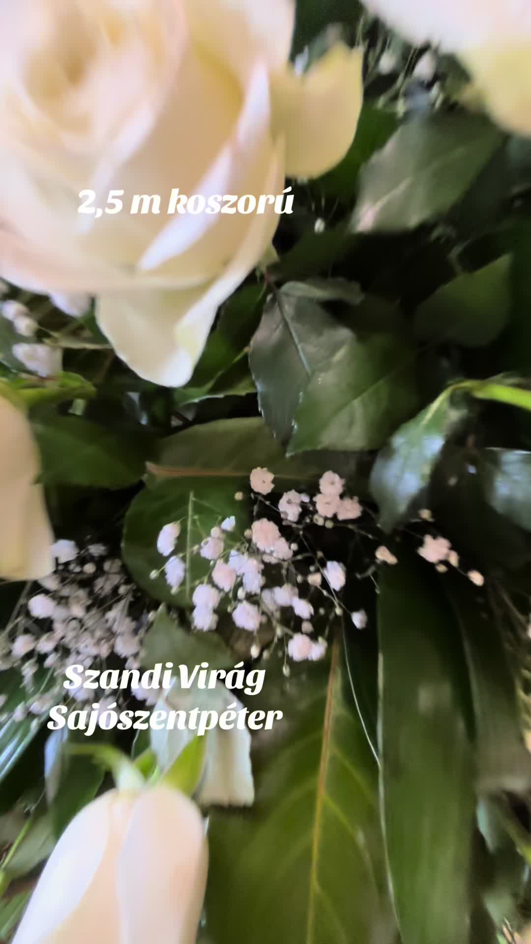 @SzandiVir&aacute;g