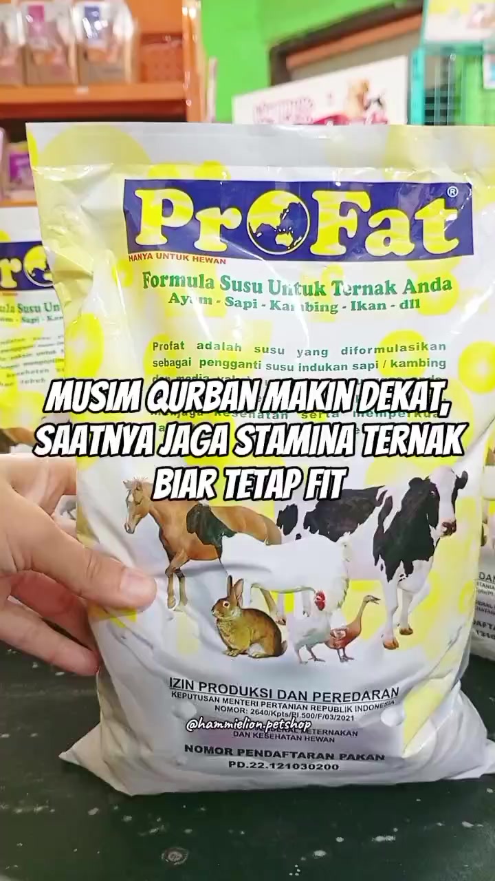 @Grosir Hammielion Petshop