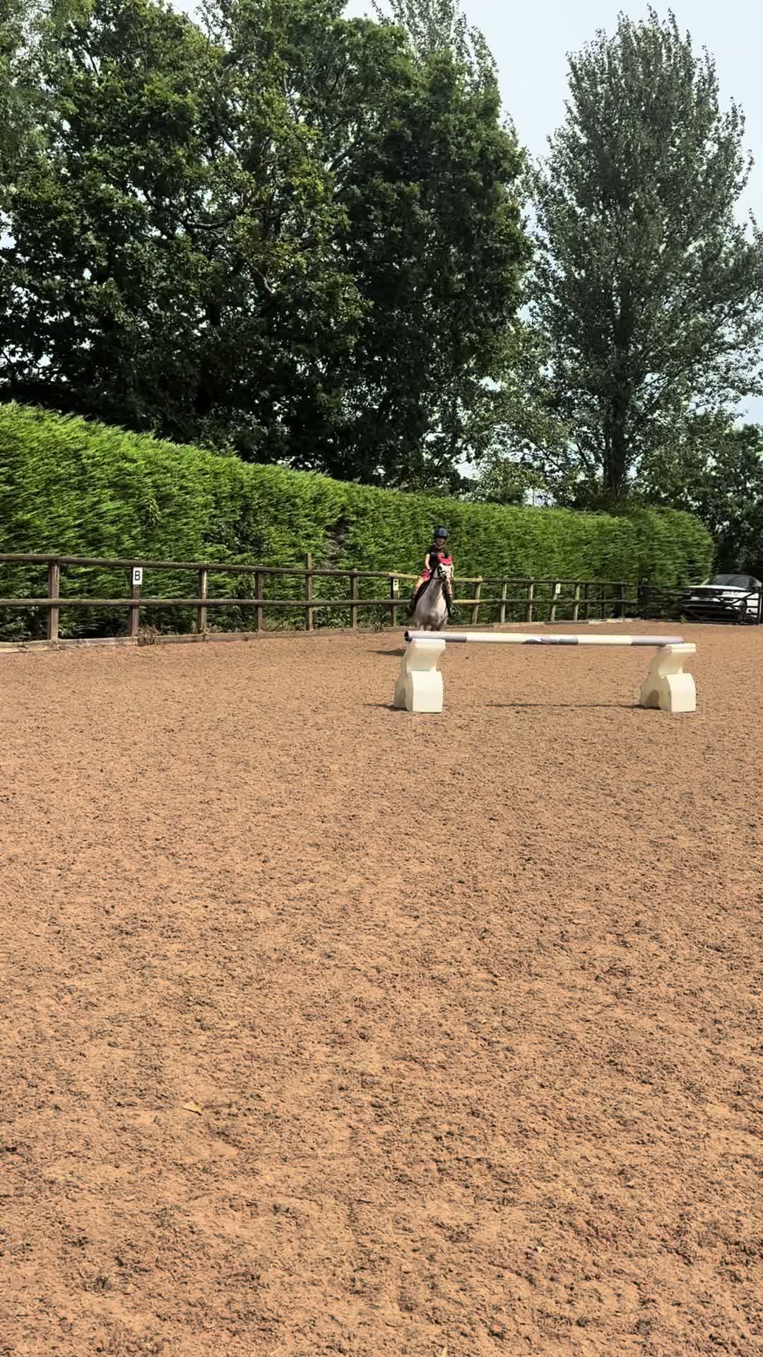 @poppy 🌾🐴 🇬🇧