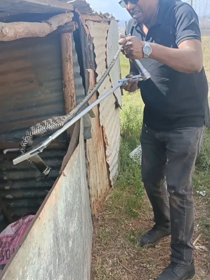 @SnakeRescue NSRR Eastern Cape