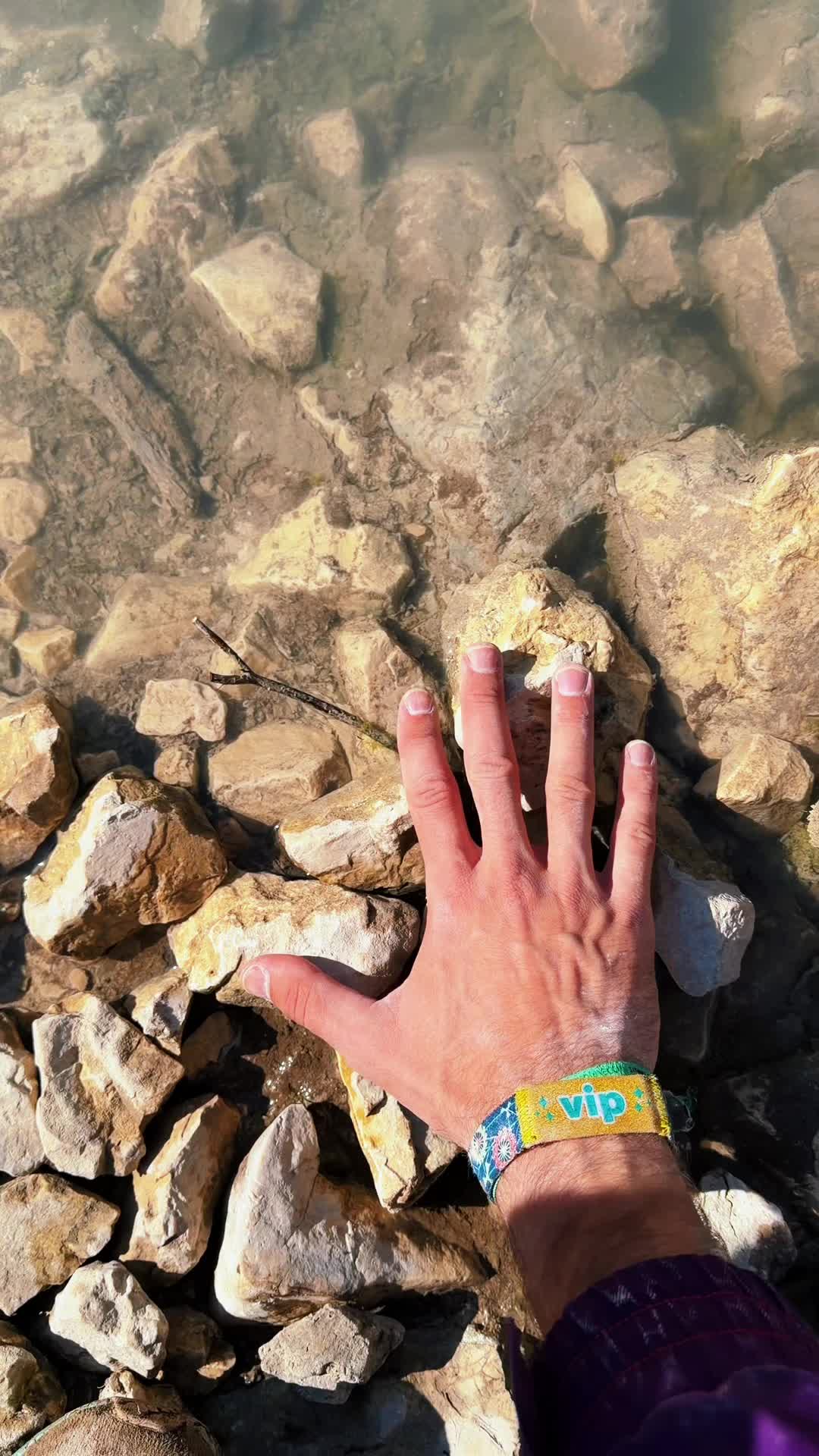 @mega