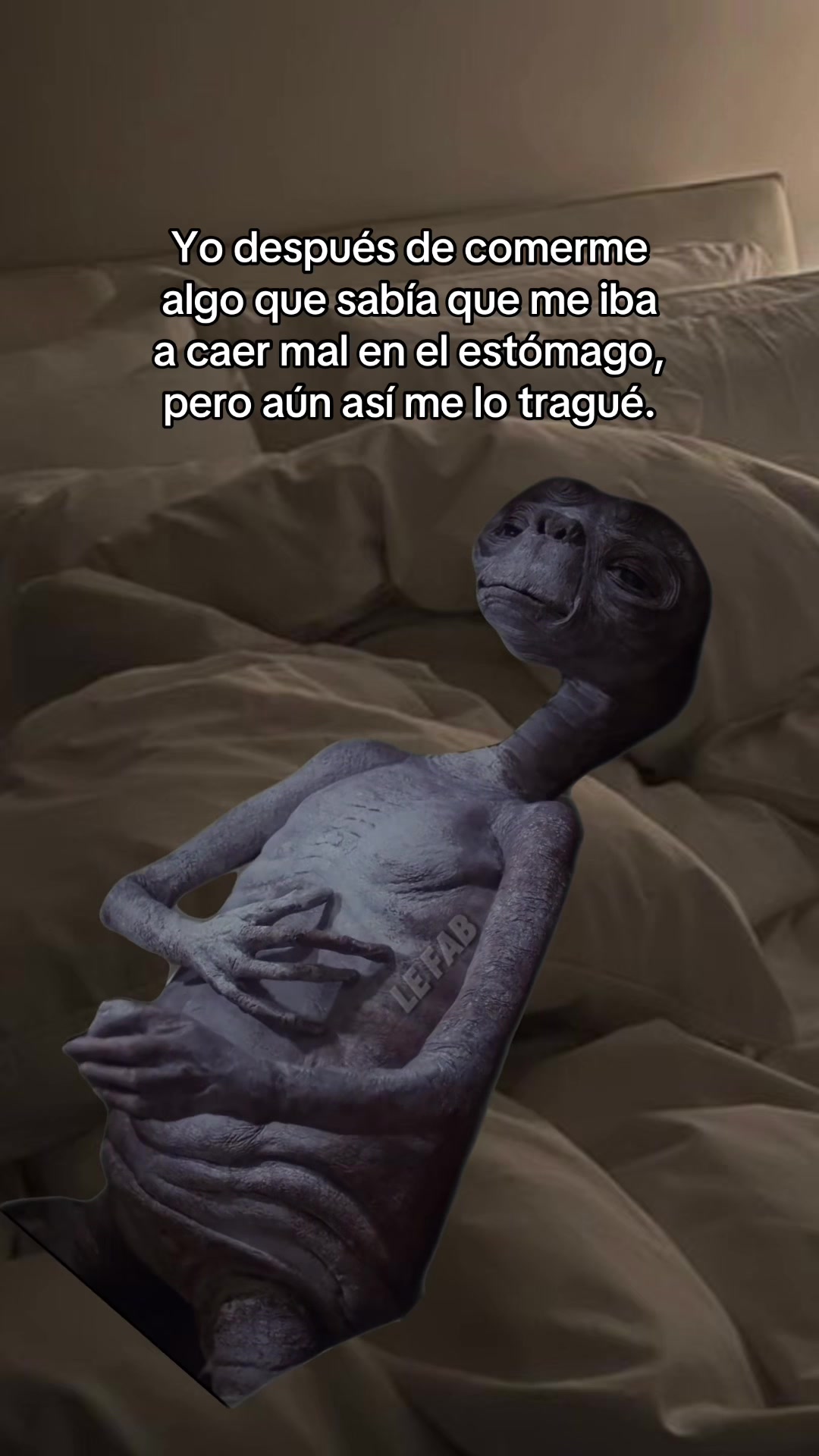 @El Woody 🤠