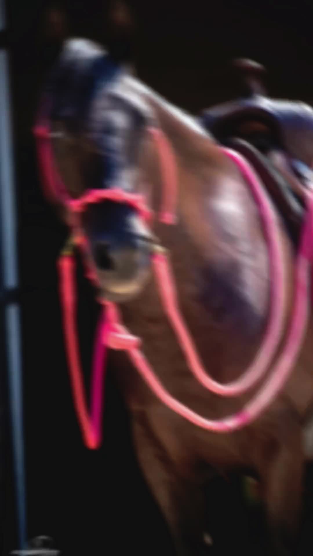 @Horse Help