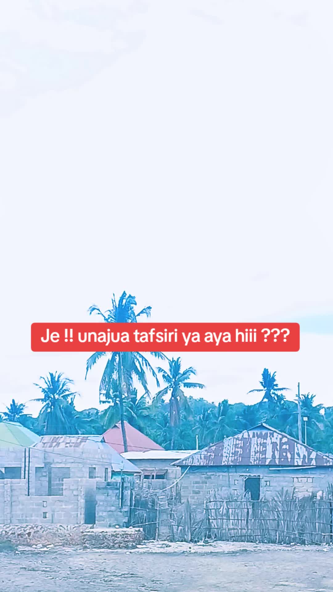 @SINOG jr