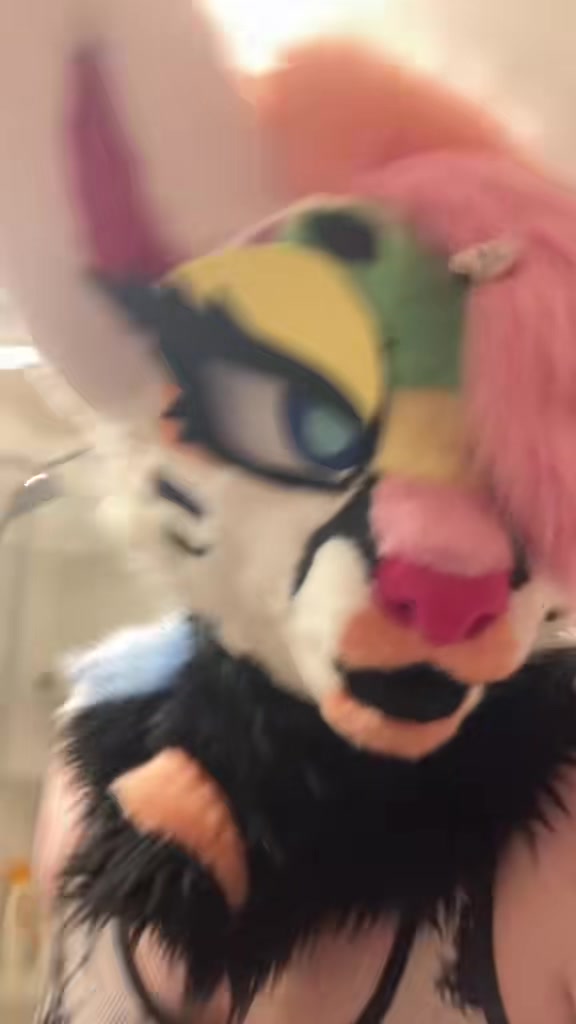@Liger~Liger🐾🍉->FSC 26!!!