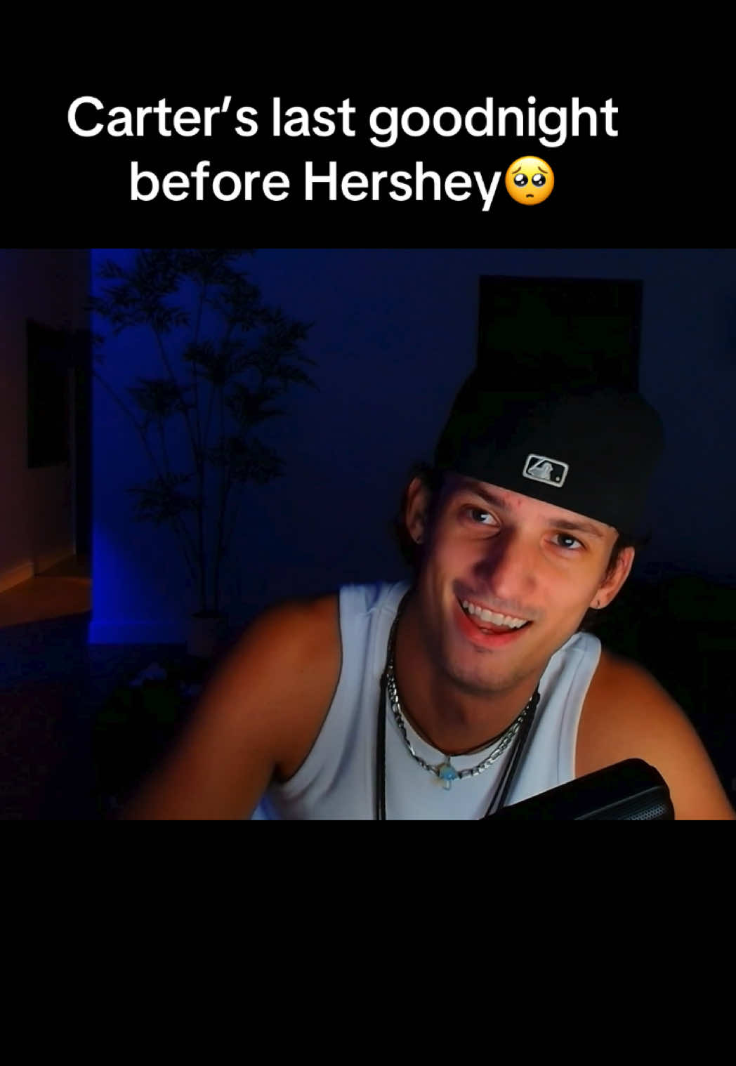 @alexane