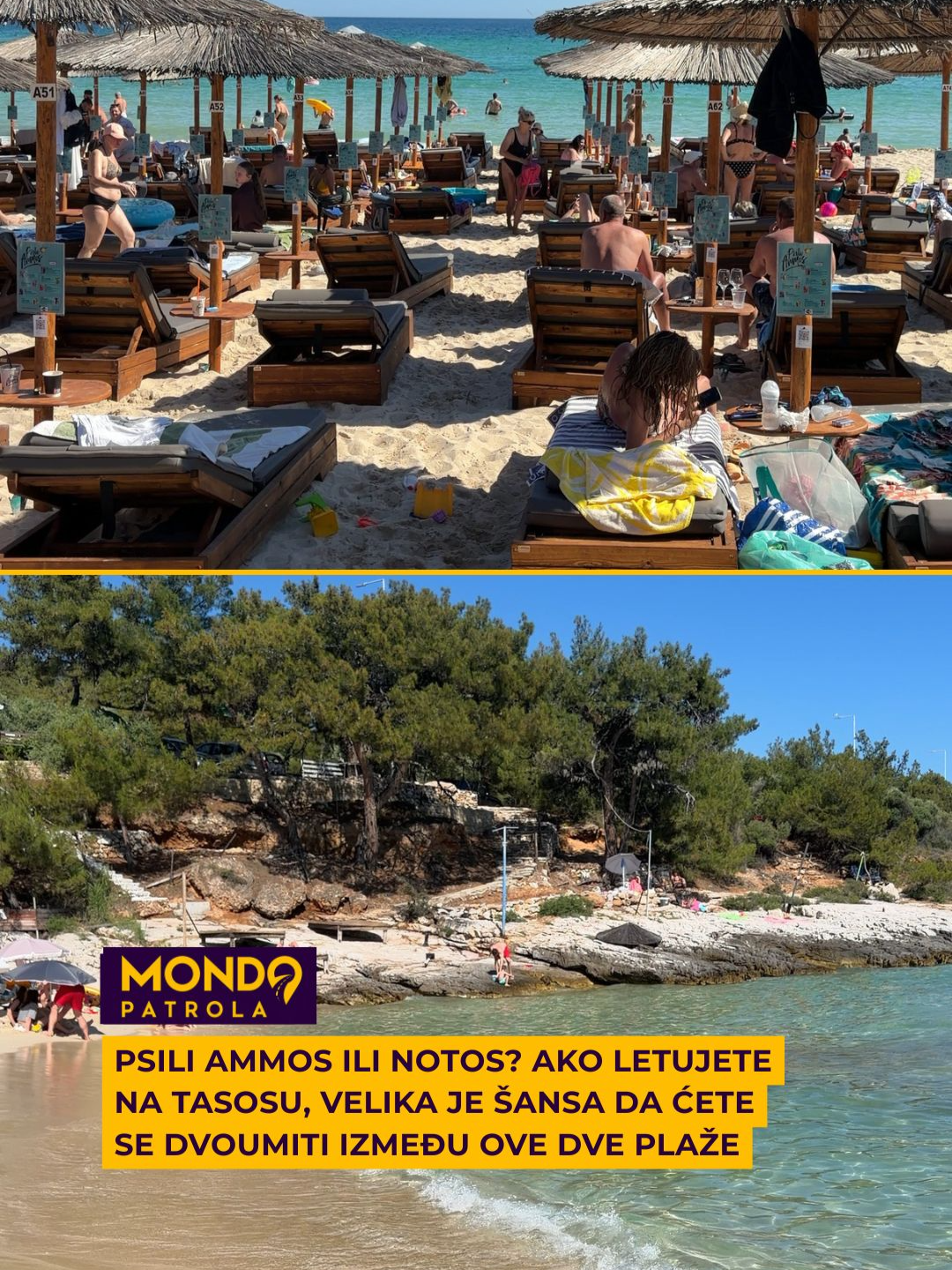 @Mondo Portal