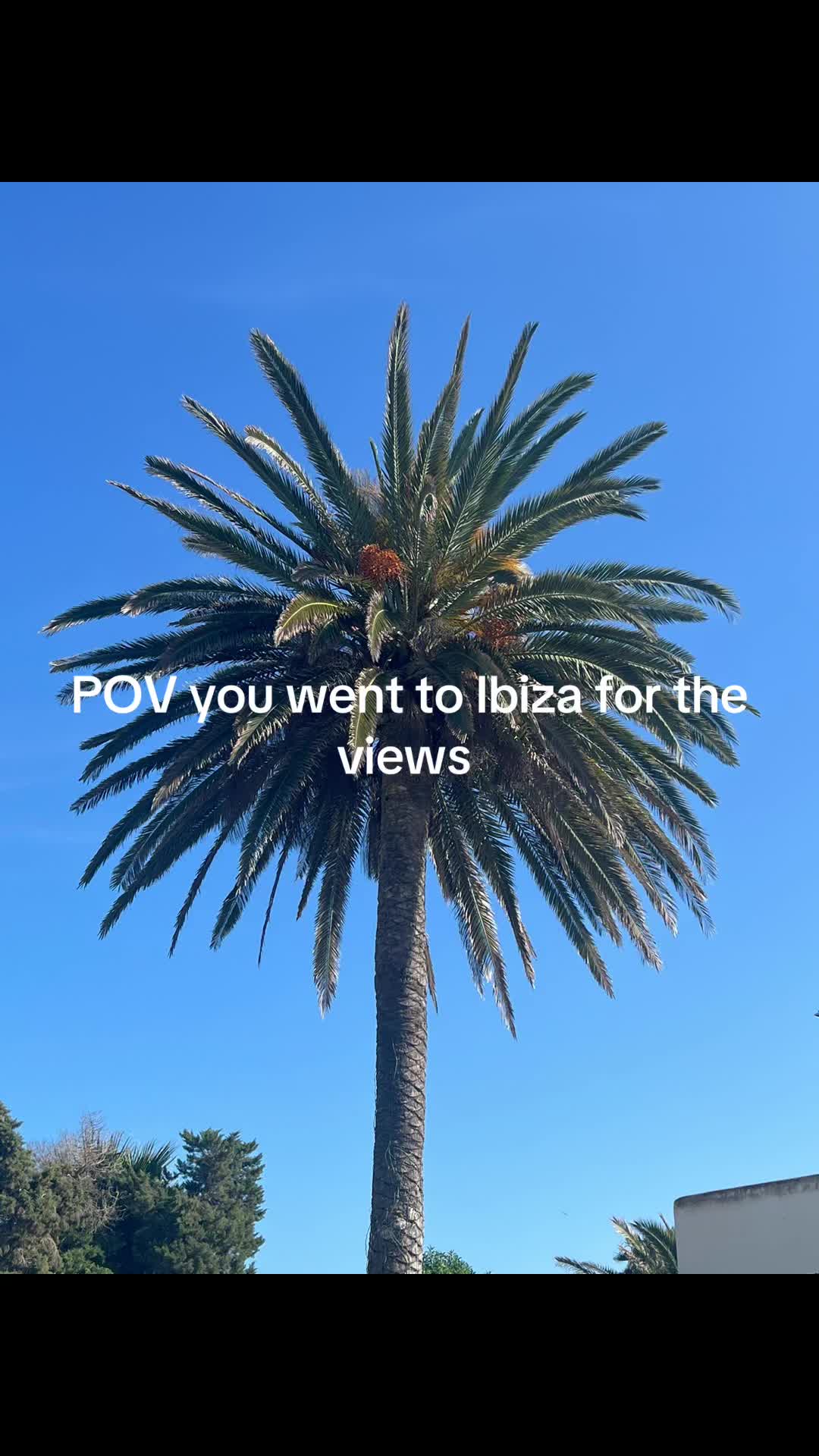 @Ellie