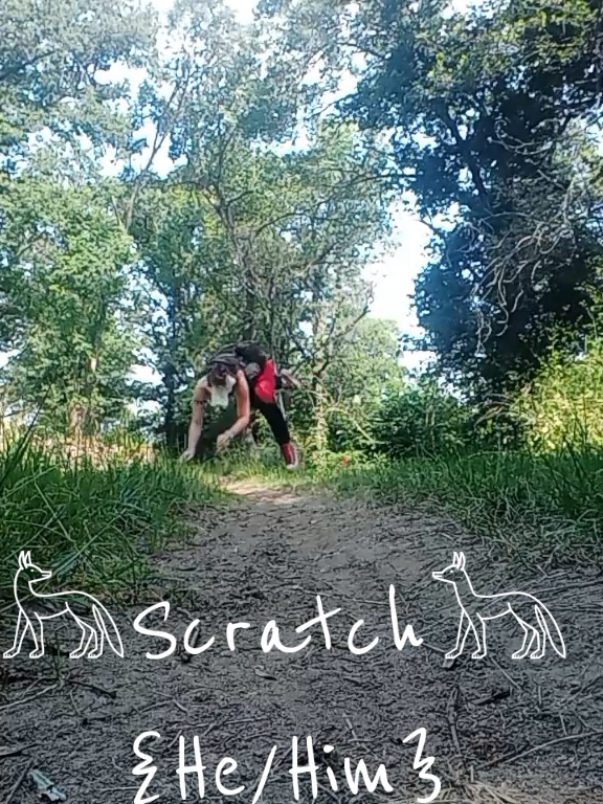 @𓃦{Scratch}𓃥