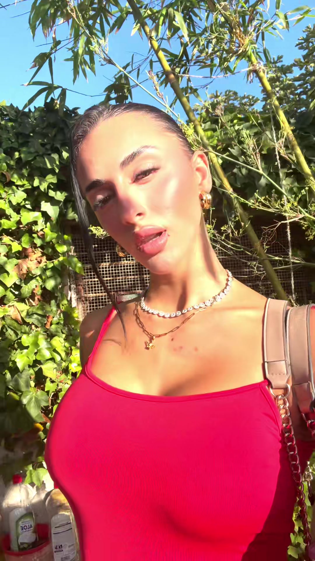 @🐆