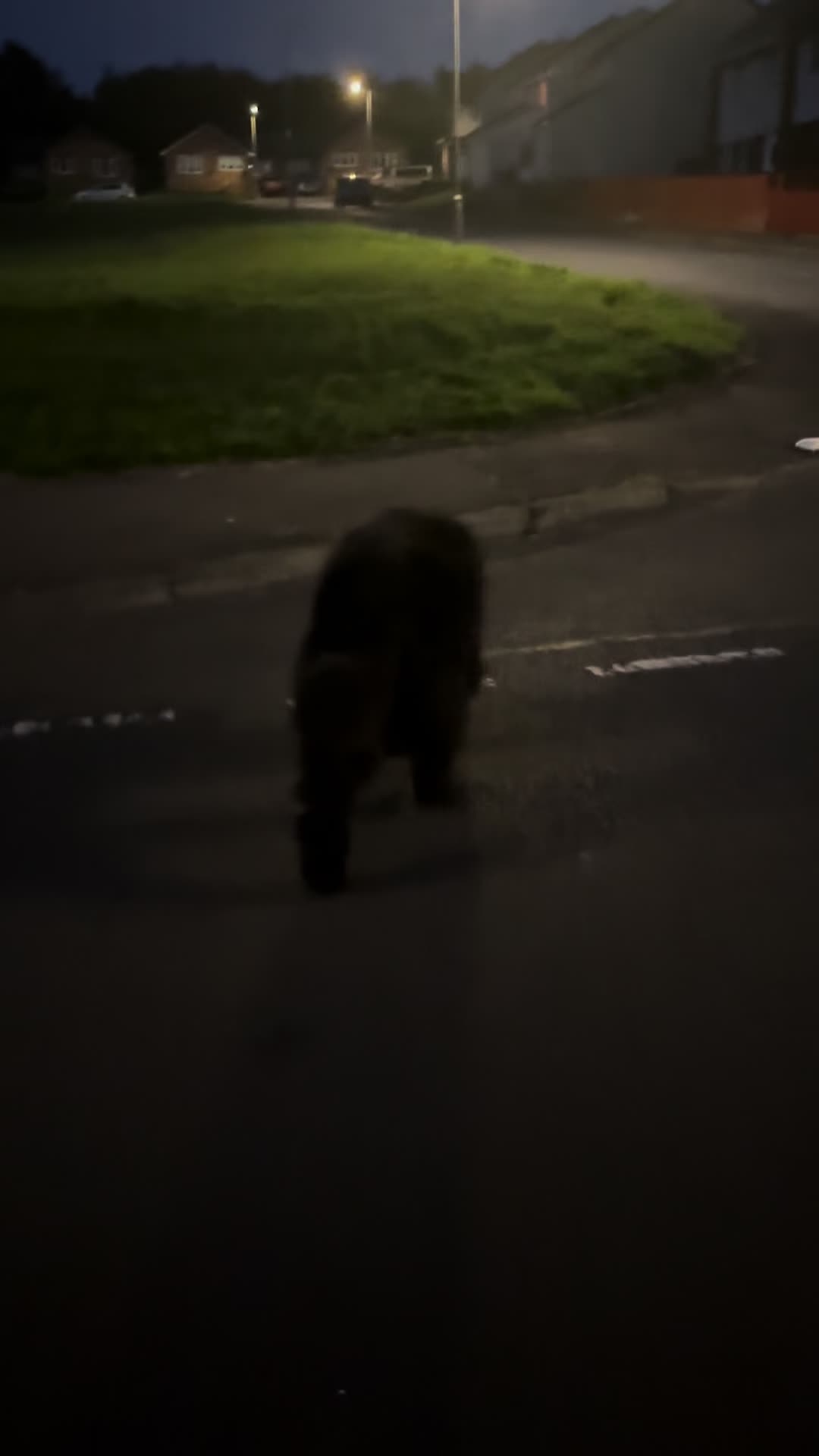 @Pablopoppypiperpoodle