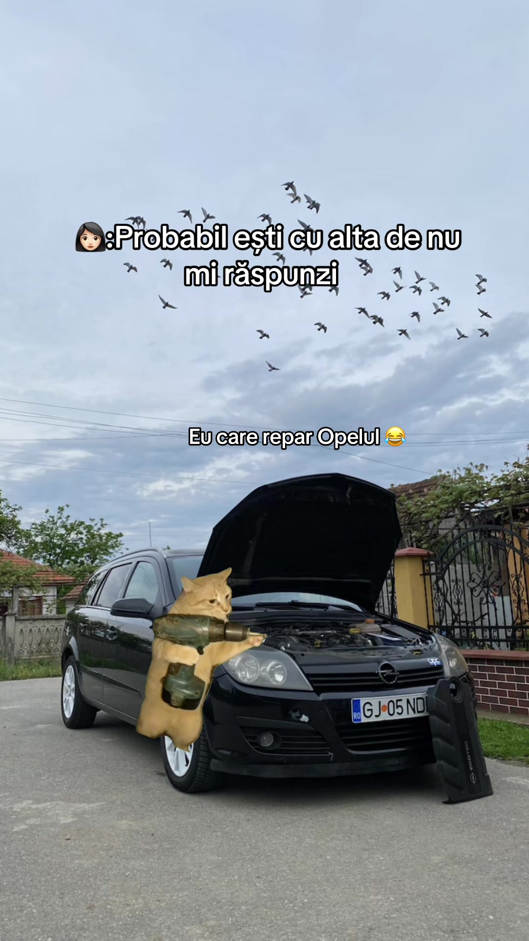 @𝕆𝕝𝕒𝕣𝕦 𝔸𝕟𝕕𝕣𝕖𝕚