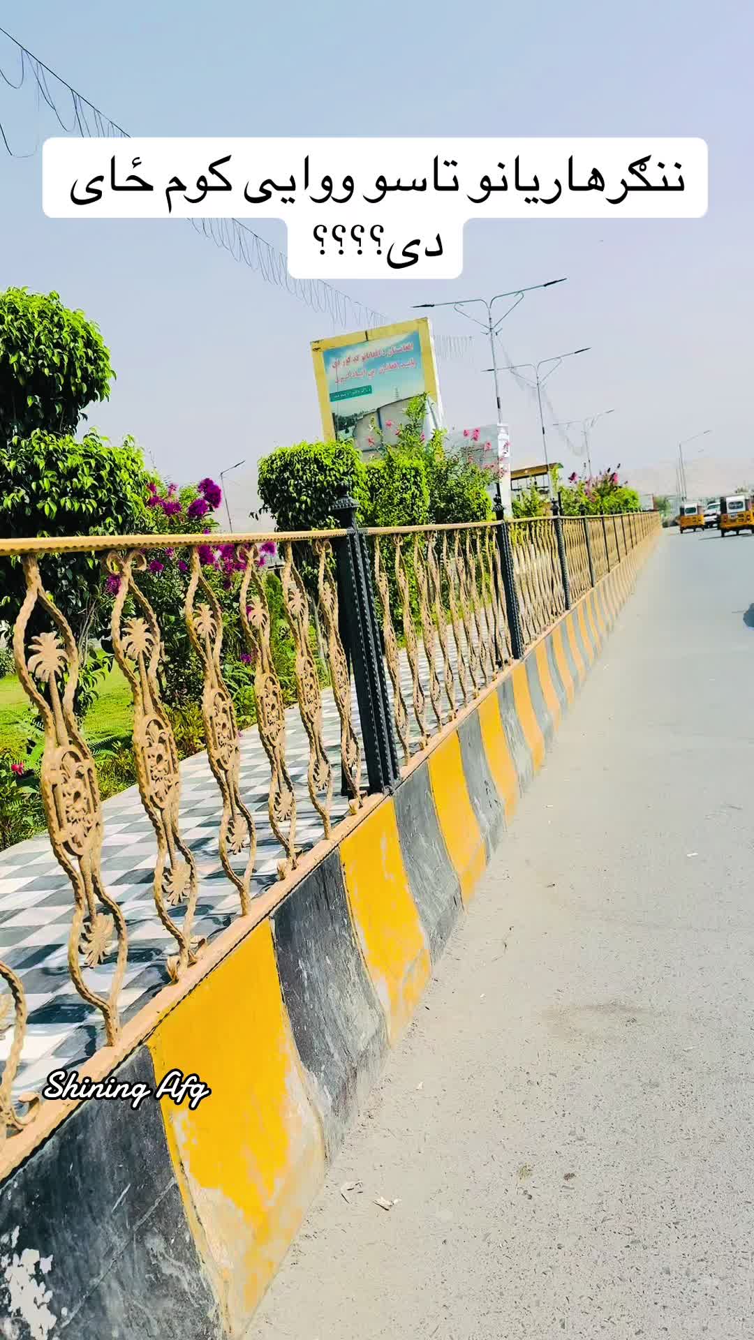@Shining Afg