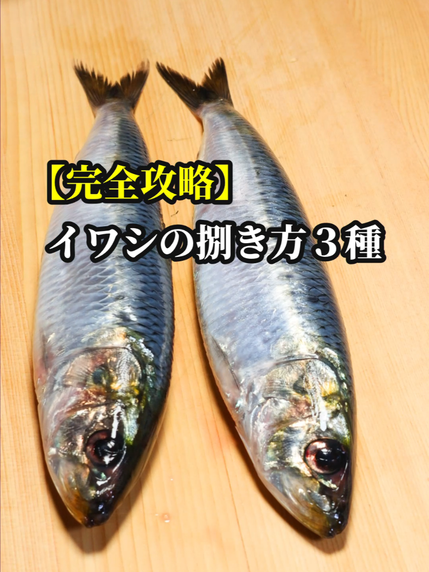 @セイゴ水産